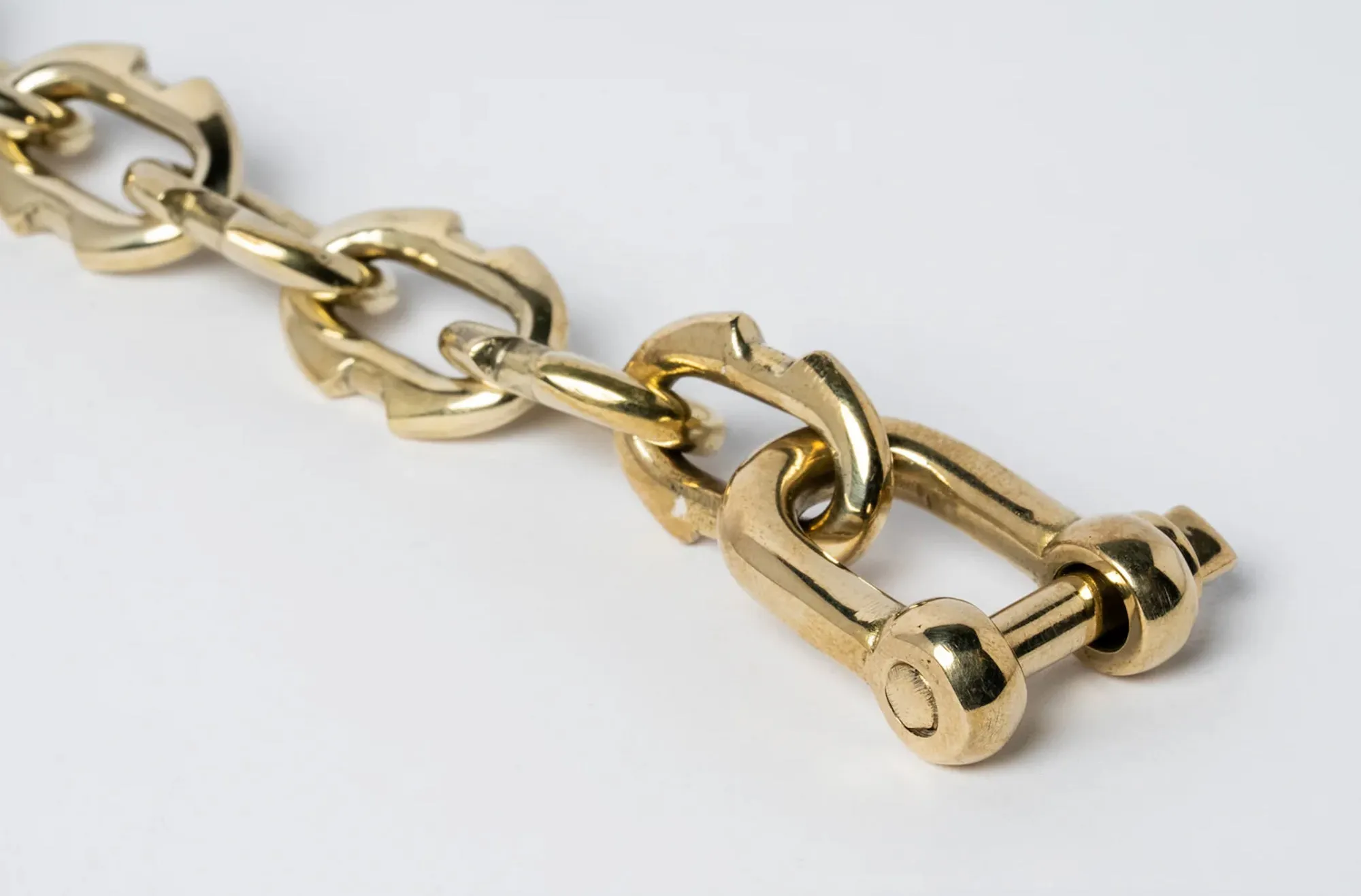 Charm Chain Necklace - polished brass